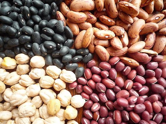 Black Kidney Beans_White Kidney Beans_Red Kidney Beans_Speckled Kidney Beans_Haricot Beans
